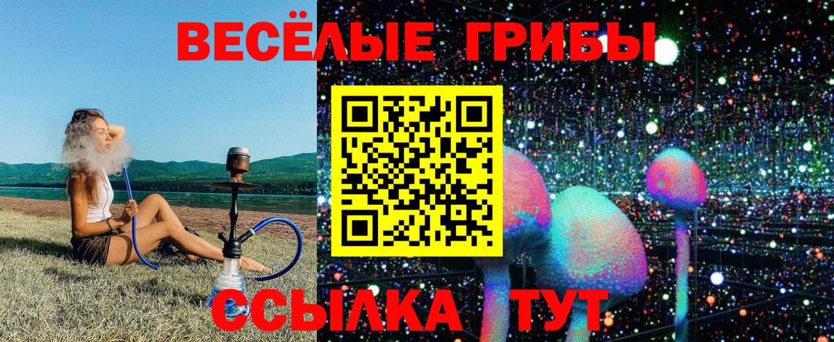 Псилоцибиновые грибы мицелий  Вход с VPN  магазин продажи   Ахтубинск  Галлюциногенные грибы мухоморы 