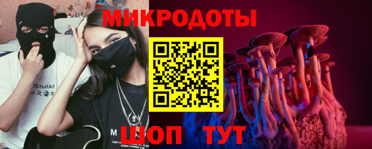 Галлюциногенные грибы мухоморы Ахтубинск